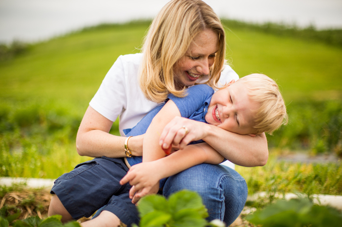 Pick Your Own Strawberries at Baugher's Orchard and Farm in West