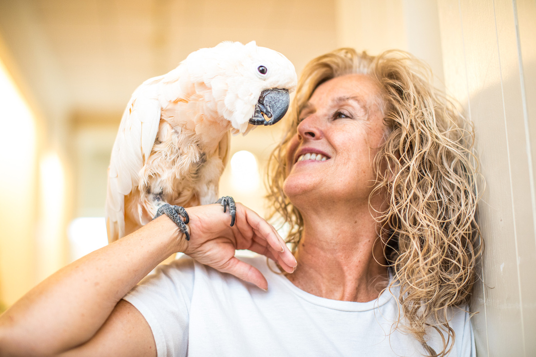 Ruffled Feathers Bird Sanctuary in Hanover, Pennsylvania | Photo