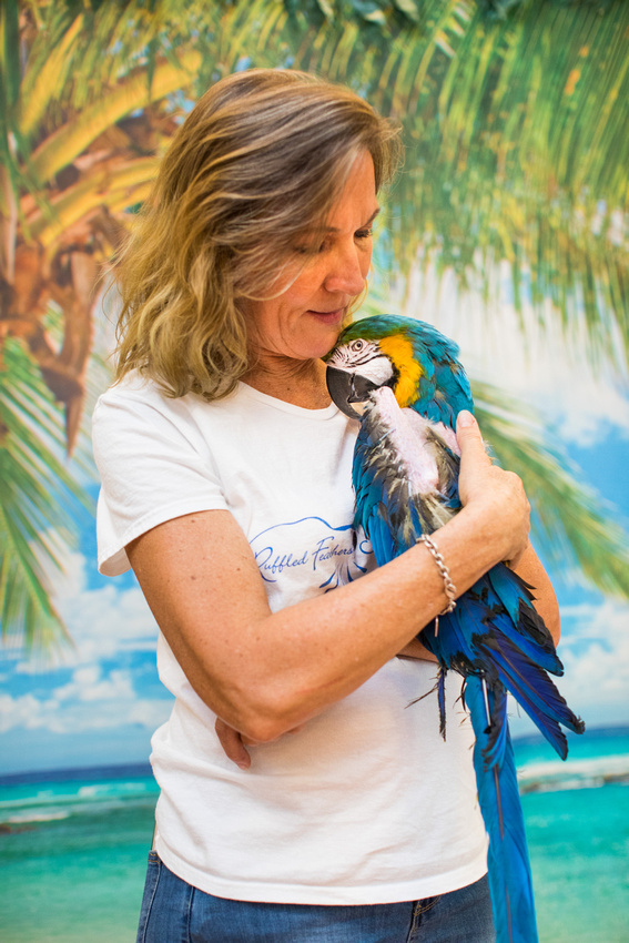 Ruffled Feathers Bird Sanctuary in Hanover, Pennsylvania | Photo