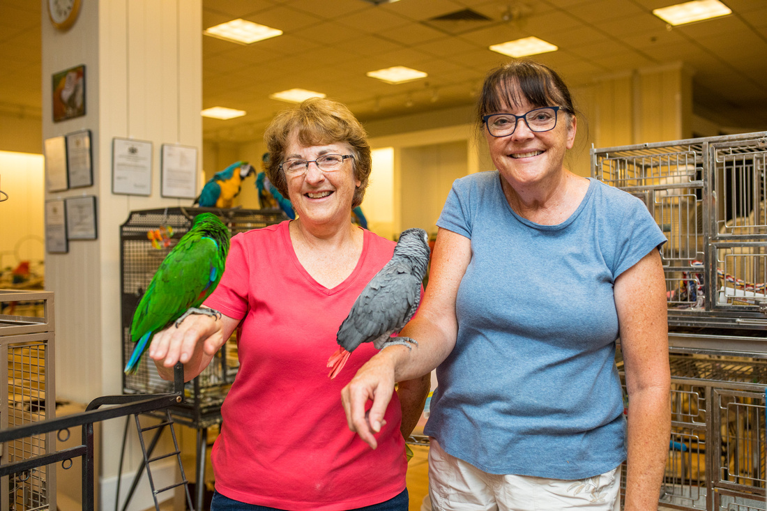 Ruffled Feathers Bird Sanctuary in Hanover, Pennsylvania | Photo