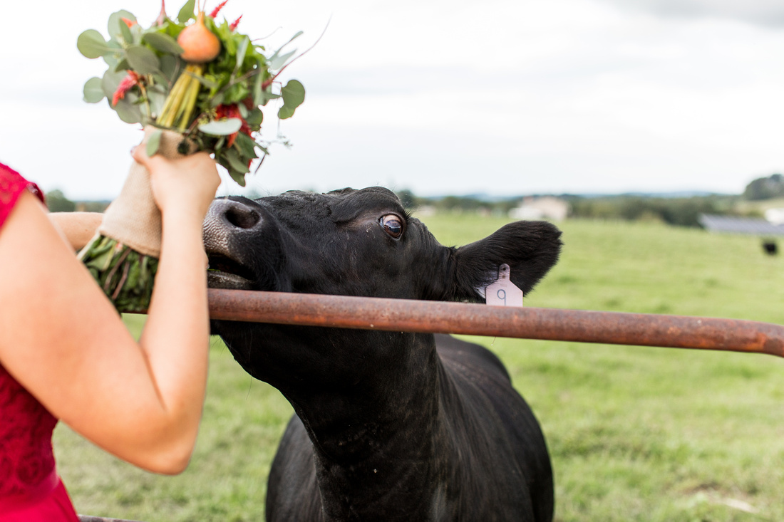 Wedding of Victoria Robinson & Trevor Hoff at Local Homestead Pr