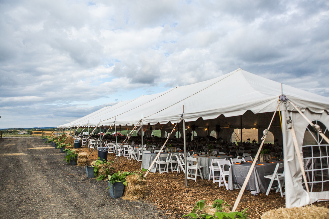 Wedding of Victoria Robinson & Trevor Hoff at Local Homestead Pr