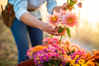 Jackie Coldsmith | Tierra Blooms Flower Farm in Taneytown, Maryland