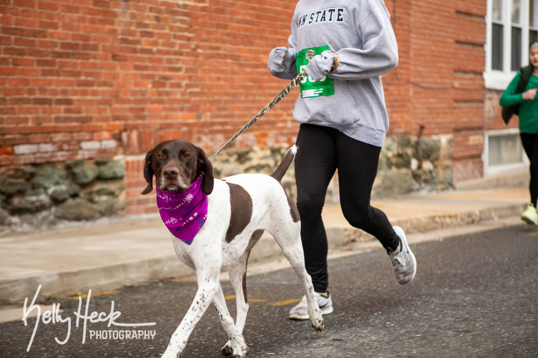 9th Annual Celtic Canter 5K & 1-Mile Fun Run & Irish Celebration