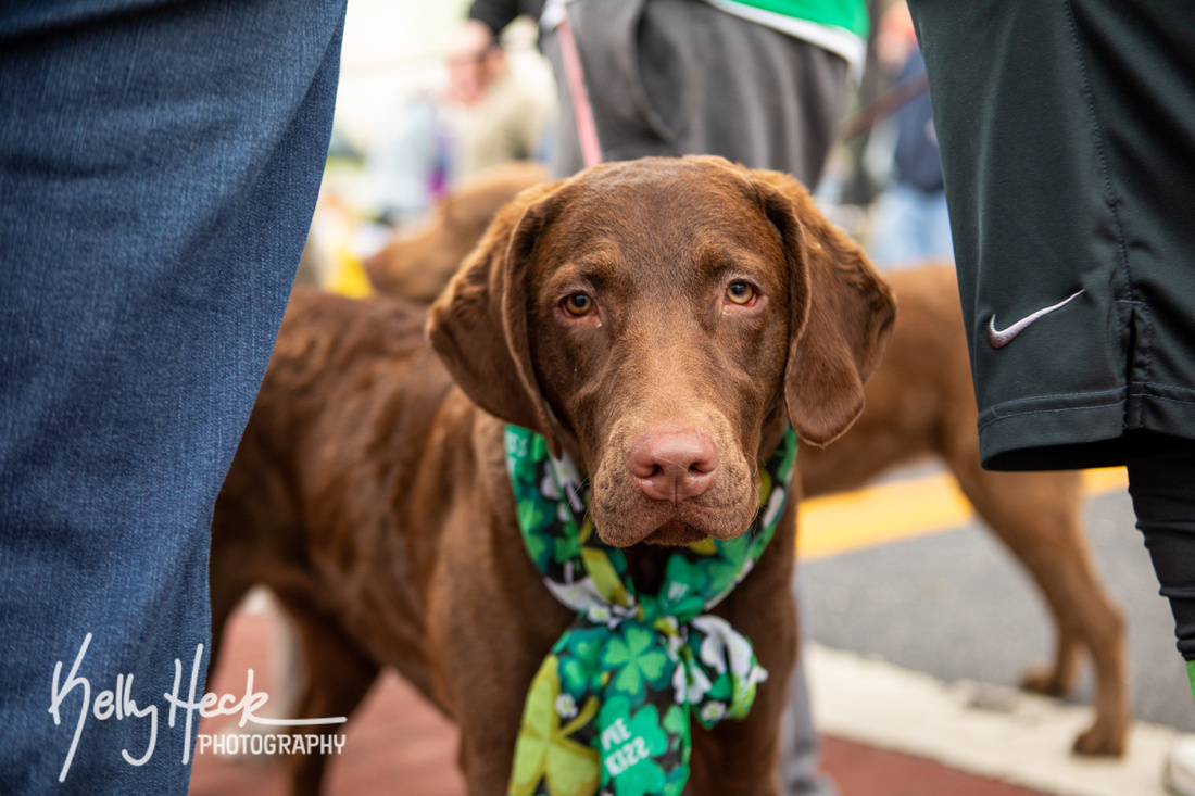 9th Annual Celtic Canter 5K & 1-Mile Fun Run & Irish Celebration