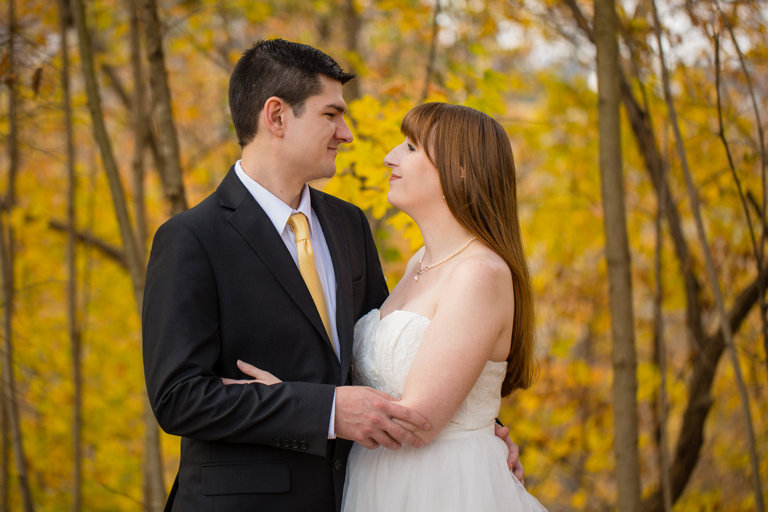 Katy & Alex | Marriage Portraits in Taneytown, Maryland