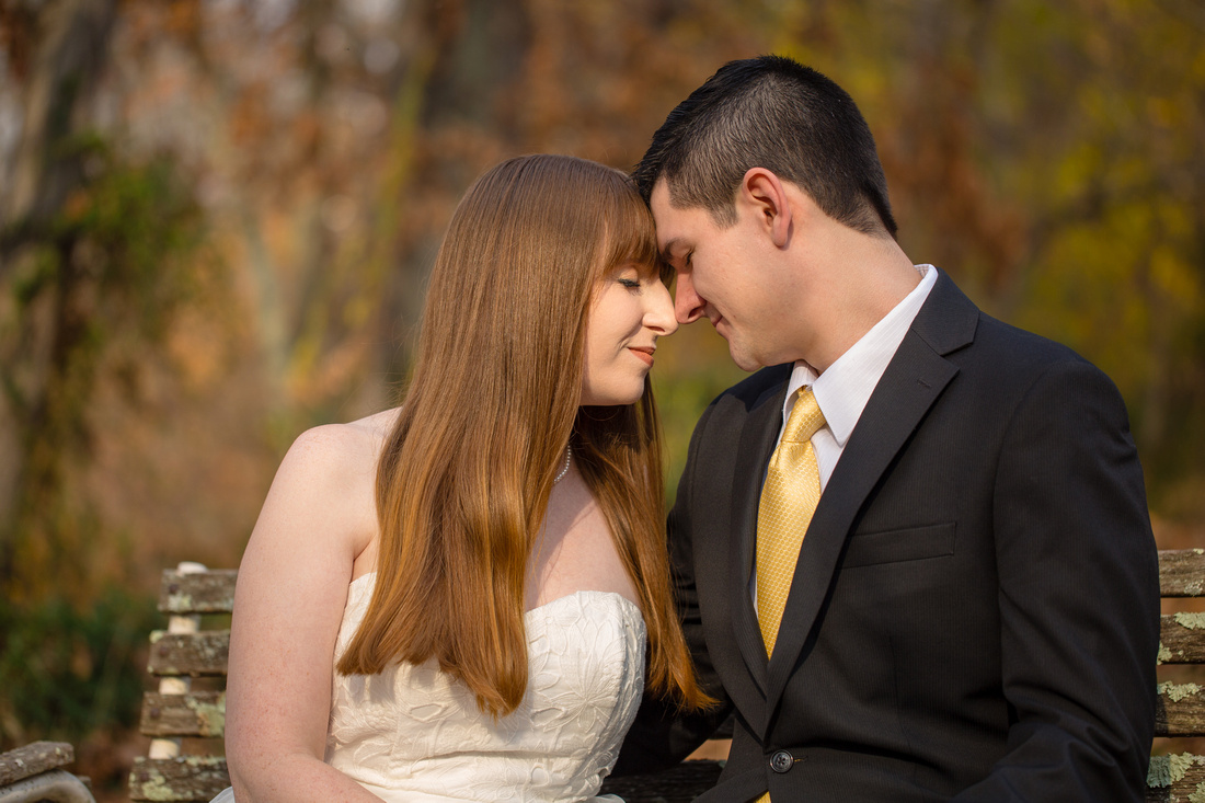 Katy & Alex | Marriage Portraits in Taneytown, Maryland